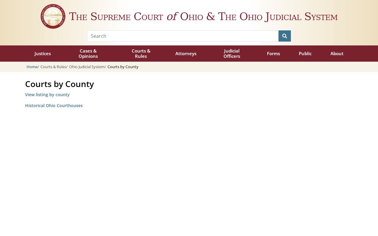 Portage County court docket Ohio trial court directory